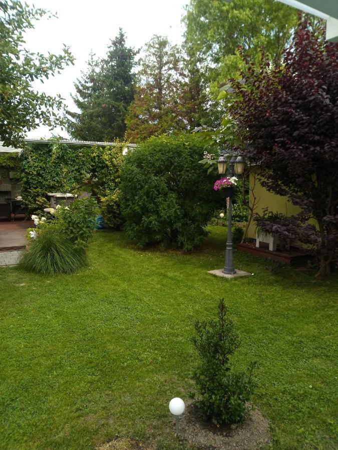 Ferienhaus Baldamus In Blankenburg بلانكنبرغ المظهر الخارجي الصورة